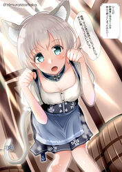  absurdres alternate_costume animal_ears apron blue_apron blue_bow blue_eyes bow breasts cat_ears cat_tail dirndl female german_clothes grey_hair highres himura_moritaka indoors kantai_collection leaning_forward short_hair small_breasts solo speech_bubble tail tail_bow tail_ornament translation_request z1_leberecht_maass_(kancolle) z1_leberecht_maass_(oktoberfest_mode)_(kancolle) 