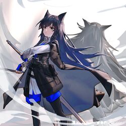  2girls animal_ears arknights black_cape black_hair black_pantyhose black_vest blue_gloves blue_hair blue_shorts cape closed_mouth collared_shirt dual_wielding feet_out_of_frame fingerless_gloves gloves gradient_hair grey_hair highres holding holding_sword holding_weapon lappland_(arknights) long_hair long_sleeves looking_at_viewer multicolored_hair multiple_girls pantyhose rockyroo shirt shorts standing sword texas_(arknights) texas_the_omertosa_(arknights) v-shaped_eyebrows very_long_hair vest weapon white_shirt wolf_ears yellow_eyes 