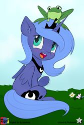  2016 2:3 absurd_res alicorn ambiguous_gender amphibian blue_body blue_fur blue_hair blush crown cutie_mark duo equid equine feathered_wings feathers female feral flower friendship_is_magic frog fur grass hair hasbro headgear hi_res hooves horn jowybean mammal my_little_pony mythological_creature mythological_equine mythology open_mouth outside plant princess_luna_(mlp) teal_eyes teeth tiara tongue underhoof wings wodahseht 