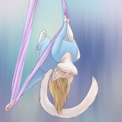  aerial_silk anthro barefoot blonde_hair closed_eyes clothed clothing domestic_cat feet felid feline felis female foxenawolf fur hair mammal pawpads pink_pawpads silk_dancing solo tail unitard white_body white_fur 