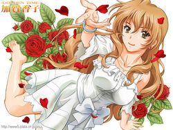  barefoot bracelet brown_eyes brown_hair commentary_request dress earrings female golden_time jewelry kaga_kouko legs lips long_hair nolia petals simple_background smile solo white_background 