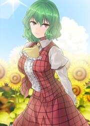  arm_strap arms_behind_back ascot blue_sky breasts cloud commentary_request cowboy_shot day female flower frilled_ascot frilled_shirt frills garden_of_the_sun green_hair hair_between_eyes highres kazami_yuuka large_breasts lens_flare light_smile long_sleeves looking_at_viewer one-hour_drawing_challenge open_clothes open_vest outdoors plaid plaid_skirt plaid_vest puffy_long_sleeves puffy_sleeves red_eyes red_skirt red_vest shirt short_hair skirt skirt_set sky solo sunflower sunlight touhou vest white_shirt y2 yellow_ascot 