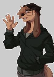  absurd_res anthro beanie canid canine canis clip_studio_paint_(artwork) clothing digital_media_(artwork) domestic_dog eyewear father_hill gesture glasses hair hair_over_eye hand_in_pocket hat headgear headwear hi_res hoodie long_ears male mammal one_eye_obstructed pockets reed_(bearra) solo tail topwear waving 