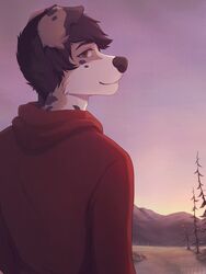  avoid_posting brown_eyes brown_hair canid canine canis clothing domestic_dog hair hoodie jesse_(disambiguation) looking_at_viewer male mammal metz pose solo sunrise topwear 