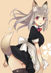  animal_ears apron bad_id bad_pixiv_id black_thighhighs blush breasts female fox_ears fox_tail grey_hair heart large_breasts long_hair looking_at_viewer maid open_mouth original panties pantyshot red_eyes simple_background solo tail thighhighs umasanjin underwear waist_apron white_panties 