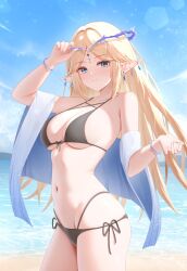  absurdres beach bikini black_bikini blonde_hair blue_eyes blue_sky breasts cartethyia_(wuthering_waves) commentary cowboy_shot crown_of_thorns doraski duplicate earrings female groin highres jewelry large_breasts long_hair looking_at_viewer multi-strapped_bikini_bottom navel ocean outdoors pointy_ears sand side-tie_bikini_bottom sky smile solo swimsuit tacet_mark_(wuthering_waves) wuthering_waves 
