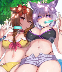  2girls adapted_costume ahoge animal_ears bikini black_bikini black_choker blue_scrunchie braid breasts brown_eyes brown_hair cat_ears cat_girl choker commentary_request dog_ears dog_girl flower food hair_flower hair_ornament highres hololive inugami_korone inugami_korone_(1st_costume) konboi-eg large_breasts looking_at_viewer multiple_girls navel nekomata_okayu open_fly popsicle purple_eyes purple_hair red_choker scrunchie short_hair short_shorts shorts smile sweat swimsuit thighs twin_braids virtual_youtuber wrist_scrunchie yellow_bikini 