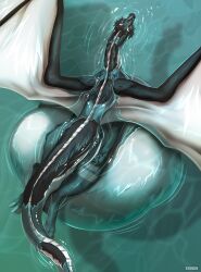  ambiguous_feral ambiguous_gender artist_name belly big_belly black_body black_fur dorsal_frill dragon feral frill_(anatomy) fur furred_dragon furred_scalie head_crest head_frill hi_res huge_belly hyper hyper_belly leg_markings markings membrane_(anatomy) membranous_wings mythological_creature mythological_scalie mythology neck_frill partially_submerged rear_view roobin scalie solo swimming tail tail_frill text vore white_body white_frill white_fur white_wings wings 
