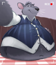  anthro belly big_belly button_(fastener) camera_view clothed clothing dress_shirt fur grey_body grey_fur hand_on_belly hi_res hyenahyena inside male mammal midriff murid murine navel overweight overweight_anthro overweight_male rat recording rodent shirt smile solo straining_buttons topwear vest whiskers 