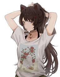  animal_ears arms_behind_head arms_up bell brown_hair choker dog_ears female flower hair_flower hair_ornament hair_tie_in_mouth heterochromia highres ibuki_(ibuki0118) inui_toko jingle_bell long_hair looking_at_viewer mouth_hold neck_bell nijisanji official_alternate_costume official_alternate_hairstyle ponytail print_shirt red_eyes shirt short_sleeves simple_background solo tying_hair upper_body virtual_youtuber white_background white_shirt yellow_eyes 