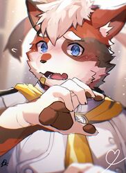  1boy animal_ears bandaid bandaid_on_face blue_eyes blush cat_boy cat_ears claws commentary_request crave_saga embarrassed flying_sweatdrops furry furry_male highres looking_at_viewer mageiro_(crave_saga) male_focus nose_blush pawpads ponzu_tas upper_body white_hair 