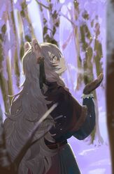  animal_ears arknights bare_tree blue_coat blurry breath brown_gloves capelet coat cold commentary cowboy_shot day depth_of_field female gloves grey_eyes grey_hair hair_ornament hair_ribbon highres koio leopard_ears long_hair looking_up official_alternate_costume outdoors parted_lips pramanix_(arknights) pramanix_(caster&#039;s_frost)_(arknights) profile ribbon snow solo tree 