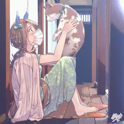  allergy animal animal_ears barefoot brown_hair casual commentary_request door dress feline female hair_ribbon highres holding holding_animal horse_ears horse_girl horse_tail indoors king_halo_(umamusume) long_hair mask mouth_mask nail_polish on_floor paayan_(hagakinorock54) purple_eyes ribbon signature sitting slippers surgical_mask tail toe_scrunch toenail_polish toenails umamusume 