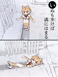  :3 animal_ears blush brown_gloves brown_legwear brown_vest collared_shirt dog_(shiba_inu)_(kemono_friends) dog_ears dog_girl dog_tail elbow_gloves extra_ears eyebrows_visible_through_hair female gloves harness highres hole japari_symbol kemono_friends light_brown_hair looking_at_viewer multicolored_hair necktie oerba_yun_fang orange_eyes photo-referenced red_necktie shirt shoes short_hair short_sleeves sneakers socks solo t-shirt tail tanaka_kusao translation_request two-tone_gloves two-tone_hair two-tone_legwear two-tone_vest vest white_footwear white_gloves white_hair white_legwear white_shirt white_vest 