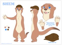  anthro blue_eyes border brown_body brown_fur brown_nose clothing color_swatch digital_media_(artwork) english_text facial_markings feet full-length_portrait fur hat head_markings headgear headwear hi_res looking_at_viewer male mammal markings membrane_(anatomy) model_sheet multiple_images mustelid otter paws portrait shem shorty-antics-27 solo text toes webbed_feet webbed_hands white_border 