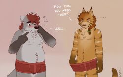  2018 anthro belly biped blush bulge canid canine clothed clothing dialogue duo embarrassed english_text felid feline fur grey_body grey_fur hair humanoid_hands male mammal navel nipples orange_body orange_fur red_clothing red_hair red_underwear rory_(spyz) simple_background slightly_chubby slightly_chubby_anthro slightly_chubby_male slim spyz_(artist) standing terry_(spyz) text underwear underwear_only unimpressed 