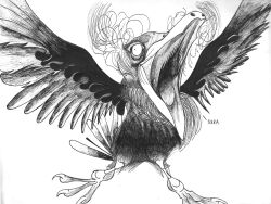  2015 absurd_res ambiguous_gender avian beak beak_open bird black_and_white claws english_text eye_bags feathered_wings feathers feet feral hair hi_res majora&#039;s_mask monochrome neck_tuft nintendo schreckengast simple_background solo tail tail_feathers takkuri_(majora&#039;s_mask) talons teeth text the_legend_of_zelda toes tongue traditional_media_(artwork) tuft wings 