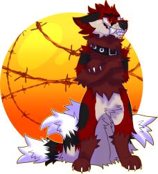  2020 4_tails anthro barbed_wire big_teeth black_collar black_eyebrows black_nose canid canine claws collar collar_only crossed_arms crotch_tuft digital_drawing_(artwork) digital_media_(artwork) digitigrade ears_down eyebrows fangs featureless_crotch fox full-length_portrait fur handpaw hi_res hindpaw jaspering male mammal multi_tail nude outline paws pivoted_ears portrait red_body red_eyes red_fur shaded snout soft_shading solo standing tail teeth toothy_grin tuft whisker_spots white_body white_claws white_fur yellow_outline 