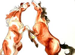  ambiguous_gender brown_body brown_fur check_mark duo equid equine feral fur hi_res horse male male/male mammal markings mireina painting_(artwork) spots spotted_body spotted_fur traditional_media_(artwork) watercolor_(artwork) 