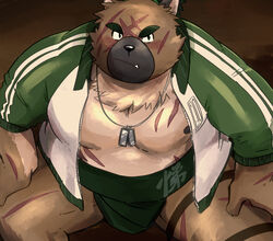  1boy animal_ears bara bare_pectorals belly black_eyes blush brown_fur bulge dog_boy dog_ears furry furry_male green_jacket highres jacket loincloth male_focus muscular muscular_male nipples oerba_yun_fang open_clothes open_jacket pectorals plump sawch_cls scar scar_on_chest scar_on_face scar_on_forehead short_hair solo stomach sumo thick_eyebrows thighs tokyo_afterschool_summoners track_jacket yasuyori_(housamo) 