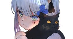  aged_down bad_id bad_twitter_id black_cat blush close-up commentary_request facial_mark feline female girls&#039;_frontline green_eyes grey_hair hair_ornament hani_haya hk416_(black_kitty&#039;s_gift)_(girls&#039;_frontline) hk416_(girls&#039;_frontline) korean_commentary looking_at_viewer official_alternate_costume portrait smile solo teardrop 