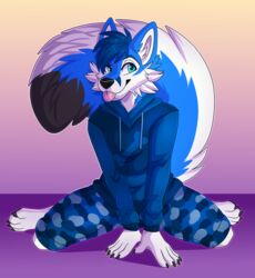  2020 4_toes 5_fingers anthro barefoot blep blue_body blue_eyes blue_fur blue_hair canid canine canis citrinelle digital_media_(artwork) domestic_dog eyebrows eyelashes feet fingers fur hair hi_res kneeling male mammal simple_background smile solo toes tongue tongue_out white_body white_fur 