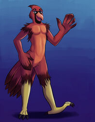  4_toes anisodactyl anthro avian beak bird bucky_(wolfen_deschain) cardinal_(bird) claws feather_hands feathers feet gesture hi_res looking_at_viewer male nude ohio oscine passerine red_body red_feathers scuted_feet scuted_legs scutes smile solo tail tail_feathers toes waving waving_at_viewer wolfen_deschain 