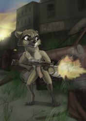  abandoned_building abandoned_city ak74 anthro assault_rifle brown_body brown_eyes car city cityscape ears_back gun hi_res holding_object holding_weapon male mammal pivoted_ears procyonid raccoon raccoon_tail ranged_weapon rifle shooting solo sunset vehicle weapon wolfyalex96 