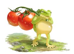  1other commentary_request food frog furry grass hachiya_shohei highres holding holding_food original personification solo standing tomato walking 