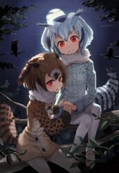  2girls alternate_eye_color bird bird_girl bird_tail brown_coat brown_hair check_commentary coat commentary commentary_request eurasian_eagle_owl_(kemono_friends) forest full_moon fur_collar glowing glowing_eyes grey_coat head_wings highres holding_hands in_tree kemono_friends looking_at_viewer melaton moon multicolored_hair multiple_girls nature night night_sky northern_white-faced_owl_(kemono_friends) outdoors owl owl_ears owl_girl red_eyes sitting sitting_in_tree sky tail tree white_hair white_legwear wings 