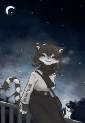  2020 absurd_res ambient_cat ambiguous_gender anthro anthro_focus black_hair blush breasts closed_eyes clothing dogpig28472 domestic_cat dress duo felid feline felis female female_focus fence feral hair hi_res looking_at_viewer mammal moon night open_mouth outside smile solo_focus star 