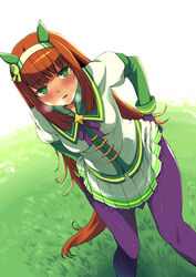  animal_ears bad_id bad_pixiv_id blush brown_hair commentary_request ear_covers female gloves grass green_eyes hairband hand_on_own_hip horse_ears horse_girl horse_tail long_hair looking_at_viewer orange_hair outdoors pantyhose photoshop_(medium) purple_gloves purple_pantyhose school_uniform silence_suzuka_(umamusume) skirt solo standing tail umamusume white_skirt yuu_(kfc) 