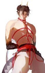  1boy arknights arm_behind_back bondage bound bound_arms brown_hair chong_yue_(arknights) cowboy_shot dragon_boy dragon_horns dragon_tail gi_um highres horns long_hair looking_at_viewer low_ponytail male_focus nipples pointy_ears red_eyes red_rope rope simple_background solo tail toned toned_male topless_male white_background 