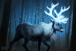  ambiguous_gender antlers artist_name black_body black_fur blue_eyes chest_tuft cool_colors dead_tree deer detailed_background feral forest fur glowing glowing_horn grass grey_body grey_fur horn inner_ear_fluff johis looking_at_viewer mammal multicolored_body multicolored_fur new_world_deer night no_pupils outside plant quadruped realistic reindeer short_tail snow snowflake snowing solo tail tree tuft walking white_antlers 