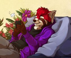  2022 ailurid anthro bed black_clothing black_shirt black_topwear bottomwear cellphone clothing collaboration digital_media_(artwork) electronics envelope flower fur furniture hoodie kikonine male mammal marjani pants phone plant purple_clothing purple_hoodie purple_topwear red_panda shirt smartphone smile texting topwear 