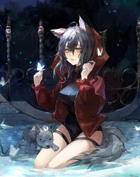  absurdres ahoge animal animal_ears arknights black_one-piece_swimsuit bug butterfly butterfly_on_hand casual_one-piece_swimsuit chinese_commentary commentary_request female grey_hair hair_between_eyes hands_up highres hood hood_down jacket long_hair looking_at_viewer official_alternate_costume one-piece_swimsuit open_clothes open_jacket open_mouth projekt_red_(arknights) projekt_red_(light_breeze)_(arknights) qianzhu red_jacket seiza sitting solo swimsuit tail thigh_strap wolf wolf_ears wolf_girl wolf_tail 