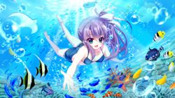  anthias_(fish) bare_legs barefoot bikini bikini_shorts blue_bikini blue_eyes bow breasts bubble butterflyfish cleavage clownfish collarbone coral coral_reef female film_grain fish fish_request game_cg hairbow high_ponytail izumi_tsubasu long_hair looking_at_viewer manta_ray moorish_idol non-web_source official_art open_mouth outstretched_arm parrotfish pocket purple_hair re:stage! reaching reaching_towards_viewer school_of_fish shorts small_breasts smile solo sparkle sunfish sunlight swimming swimsuit triggerfish tropical_fish tsukisaka_sayu underwater white_bow 