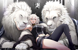  ahoge animal animal_ears arm_up armpits bare_arms bare_shoulders black_nails black_pantyhose black_shirt breasts chains crop_top fangs fed_(giba) female grey_eyes grey_hair grey_skirt highleg highres hololive knee_up large_breasts lion lion_ears long_hair looking_at_viewer midriff miniskirt nail_polish open_mouth pantyhose reclining shirt shishiro_botan shishiro_botan_(1st_costume) single_leg_pantyhose skirt sleeveless sleeveless_shirt solo thighs torn_clothes torn_pantyhose two_side_up v-shaped_eyebrows virtual_youtuber 