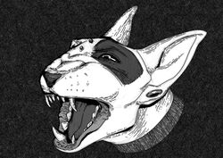  2022 anthro barking black_and_white black_body black_fur black_markings black_nose black_sclera bull_terrier canid canine canis collar digital_drawing_(artwork) digital_media_(artwork) domestic_dog ear_piercing free-opium fur grin grinding hi_res hunting_dog inktober inktober_2022 male mammal markings monochrome multicolored_body multicolored_fur nose_bridge_piercing open_mouth piercing shaded simple_background simple_shading smile sobak_(free-opium) solo teeth teeth_showing terrier white_body white_fur 