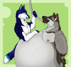  belly big_(disambiguation) candy canid canine canis chiko_(disambiguation) chikoowo chocolate dessert diabolos_wolf domestic_dog duo feeding food forced fox german german_shepherd growth herding_dog hi_res inflation kolejarz245 male male/male mammal moobs obese overfeed overweight pastoral_dog shepherd slightly_chubby stuffing wolf 
