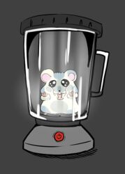  against_surface appliance blender_(machine) buckteeth container cricetid danger feral fur glistening glistening_eyes grey_body grey_fur hamster hi_res in_container kitchen_appliance looking_at_viewer mammal momendoufu on_glass open_mouth rodent slightly_chubby solo standing teeth white_body white_fur 