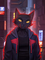  2024 3:4 anthro biped black_body black_fur building city clothing cyberpunk domestic_cat felid feline felis fur futuristic hacatiko hi_res hoodie looking_at_viewer male mammal neon neon_sign pupils shirt sign slit_pupils soft_lighting solo t-shirt topwear whiskers yellow_eyes 