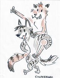  absurd_res anthro brown_body brown_fur canid canine canis carrying_another chupakaibra colored_with_crayons_&amp;_love countershading crayon_(artwork) derpy dipstick_tail duo fur gloves_(marking) grey_body grey_fur hair hi_res huge_filesize hybrid klondike_(bendo) leg_markings male mammal markings marmalade_(dotstream) mustelid musteline nude open_mouth piggyback procyonid raccoon simple_background simple_face socks_(marking) staccoon stoat striped_body striped_fur striped_markings striped_tail stripes summer_pelt tail tail_markings traditional_media_(artwork) true_musteline watermark weasel white_background wolf 