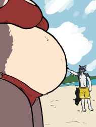  anthro beach beastars canid canine canis clothing cute_pose duo eyewear female juno_(beastars) leaning_tower_of_pisa male male/female mammal ob_(obscureaccretion) obscureaccretion out_of_frame perspective perspective_shot pregnant pregnant_anthro pregnant_female scenery self_insert sunglasses swimming_trunks swimwear wolf 