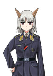  animal_ears beaver_tail12 belt brave_witches cross edytha_rossmann female fox_ears fox_girl highres insignia iron_cross long_sleeves luftwaffe medal military military_uniform red_eyes simple_background swastika uniform white_background white_hair world_witches_series 