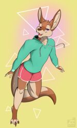  3:5 absurd_res anthro big_ears big_tail bottomwear claws clothed clothing femboy floating fluffy foxinuhhbox fur hi_res kangaroo macropod male mammal marsupial muscular pinup pose simple_background solo standing tail thick_tail thick_thighs topwear wide_hips 