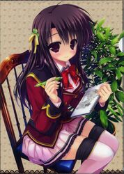  absurdres chair clover clover_hair_ornament female hair_ornament highres kugayama_konoka pink_thighhighs plant potted_plant prism_recollection! purple_eyes purple_hair school_uniform shintarou sitting sketchbook solo thighhighs zettai_ryouiki 