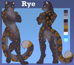  2022 anthro big_tail biped black_body black_fur black_hair blue_eyes character_name colored crossed_arms crotch_tuft digital_media_(artwork) digitigrade english_text eyebrows featureless_crotch felid front_view fur fur_markings grey_body grey_fur grin hair head_turned hi_res humanoid_hands inner_ear_fluff ketzel99 leaning leaning_backward long_tail male mammal markings model_sheet multicolored_body multicolored_fur neck_tuft nude orange_body orange_fur pantherine rear_view rye_(loaf) shaded simple_background smile snow_leopard solo spots standing tail tail_markings text thick_tail tuft yellow_body yellow_fur 