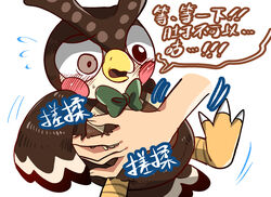  2020 animal_crossing anthro avian beak bird blathers_(animal_crossing) blush bow_tie chest_grab chinese_text dialogue digital_media_(artwork) disembodied_hand duo forced human male mammal nintendo open_mouth owl shandrawaka shanutaka simple_background size_difference text translated white_background 