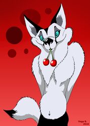  2018 abstract_background anthro arctic_fox blue_eyes canid canine cherry clothing food fox fruit fur hand_behind_torso looking_at_viewer male mammal navel object_in_mouth plant smile solo true_fox vegabone vegabone_(character) white_body white_fur 